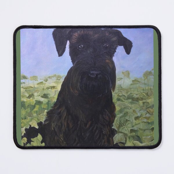 Item preview, What Ball? designed and sold by claudine4art.