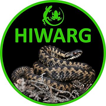 Artwork thumbnail, Adder Logo Travel by HIWARG