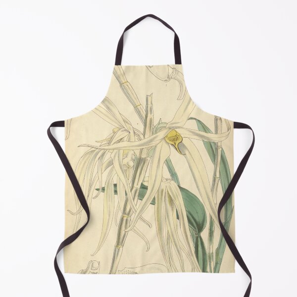 Item preview, Dendrobium amboinense designed and sold by EsotericBotanic.
