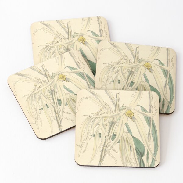 Item preview, Dendrobium amboinense designed and sold by EsotericBotanic.