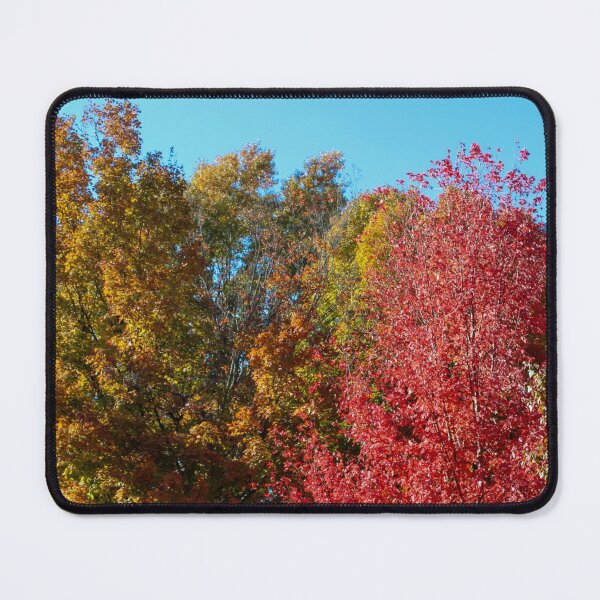 Item preview, Fall Trees designed and sold by tiramisumoo.