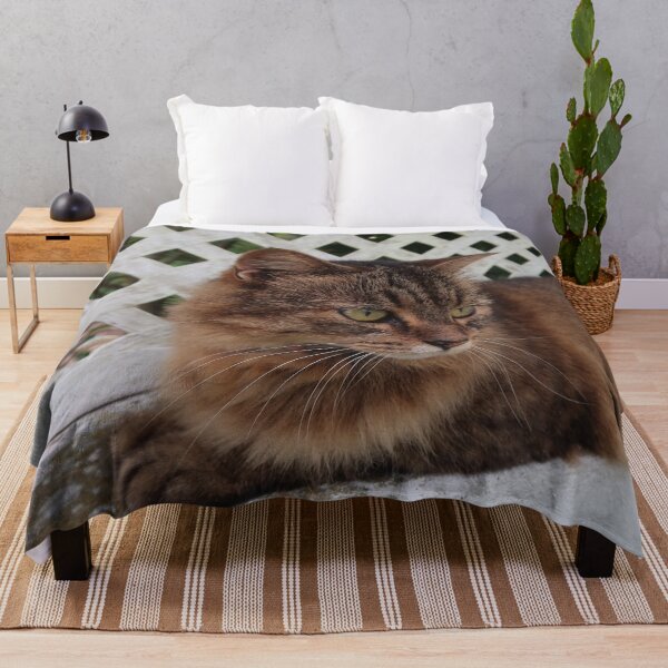Item preview, Brown Cat designed and sold by Crystaliii.