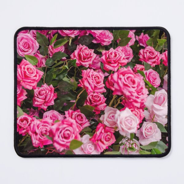 Item preview, Beautiful Pink Roses Blooming designed and sold by newburyboutique.