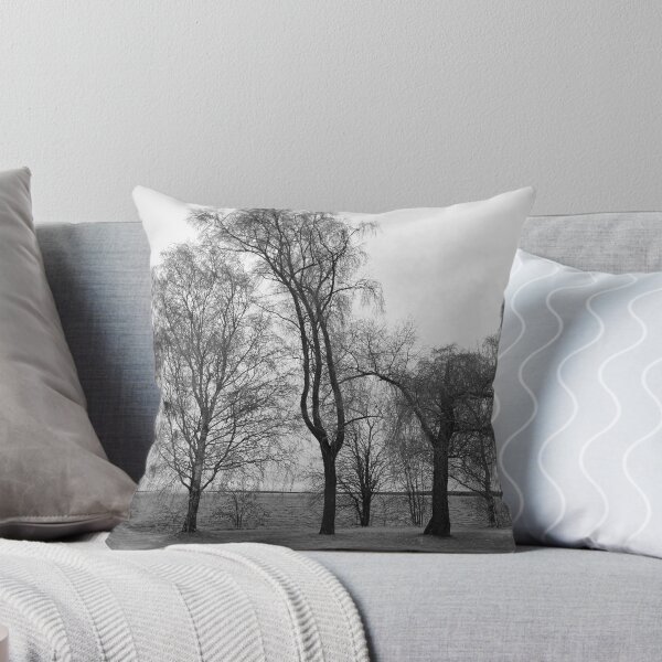 Item preview, Trees by the lake bw designed and sold by Jouko Lehto Photography.