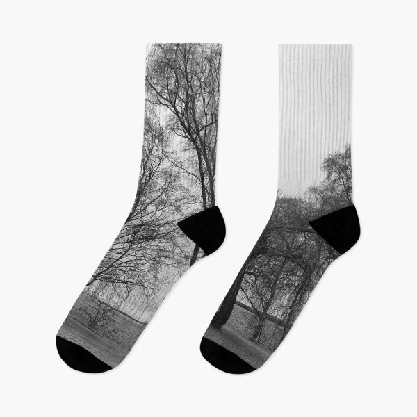 Item preview, Trees by the lake bw designed and sold by Jouko Lehto Photography.