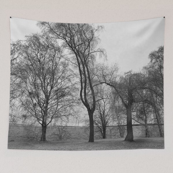 Item preview, Trees by the lake bw designed and sold by Jouko Lehto Photography.