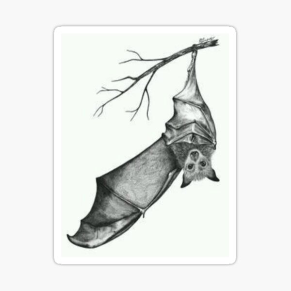 Update 74 hanging bat tattoo latest  thtantai2
