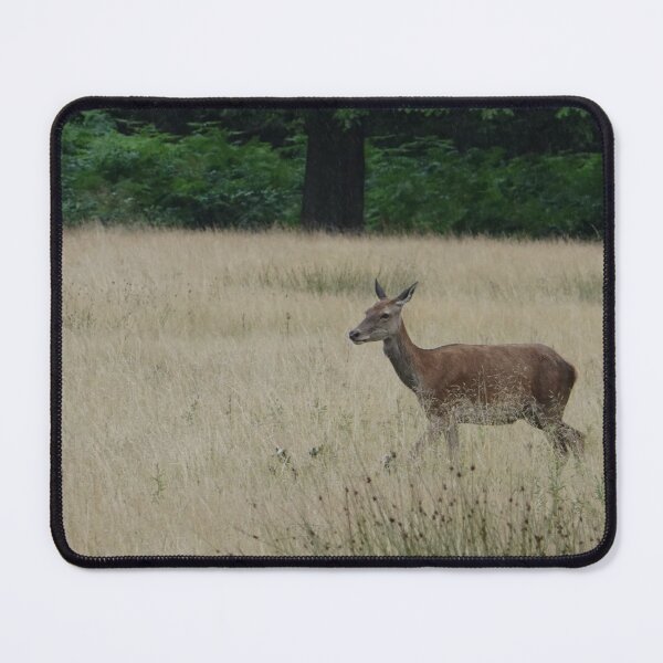 Item preview, Oh Deer designed and sold by frogs123.