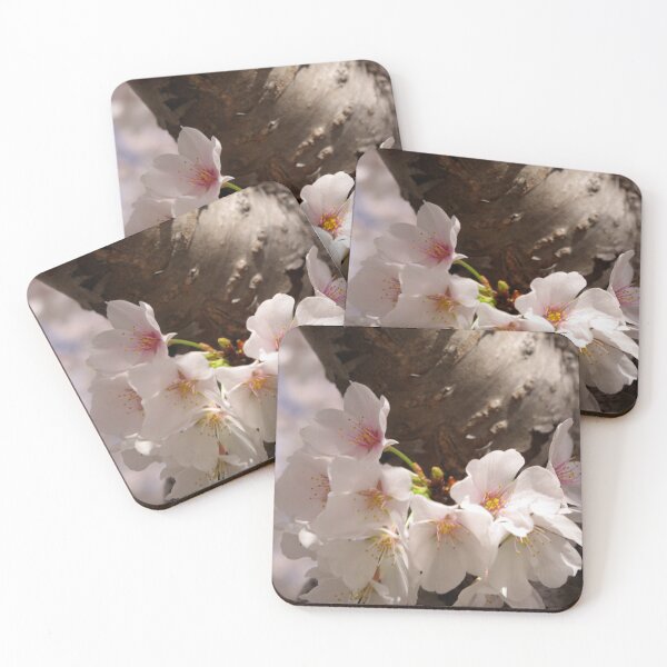 Artikelvorschau, Cherry Blossoms entworfen und verkauft von Jacki Temple.