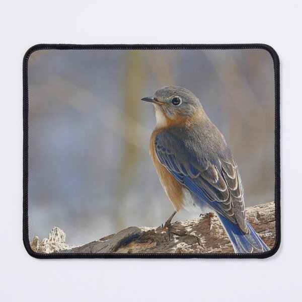 Item preview, Bluebird designed and sold by Enola Gay Wagner.