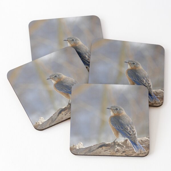 Item preview, Bluebird designed and sold by Enola Gay Wagner.