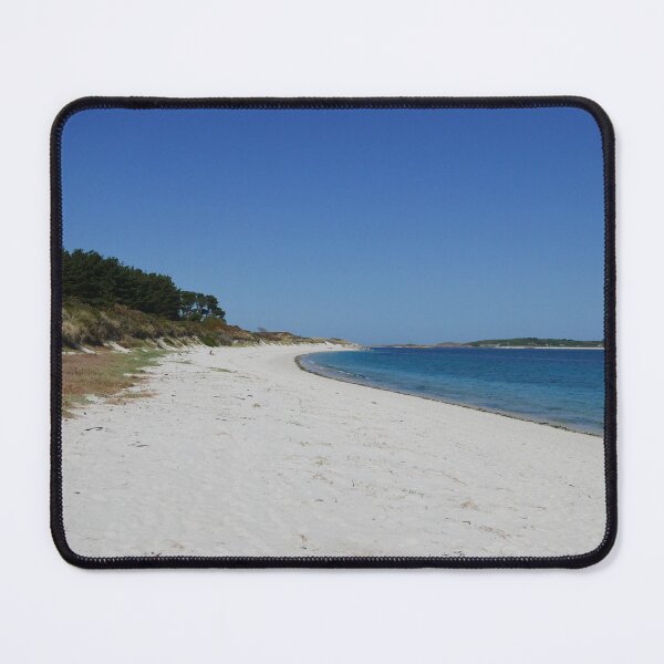 Item preview, Where we were when we couldn't be designed and sold by wardj.