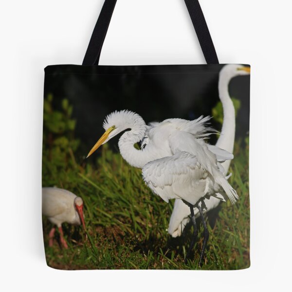 Item preview, Miss Audacious designed and sold by Michiale.