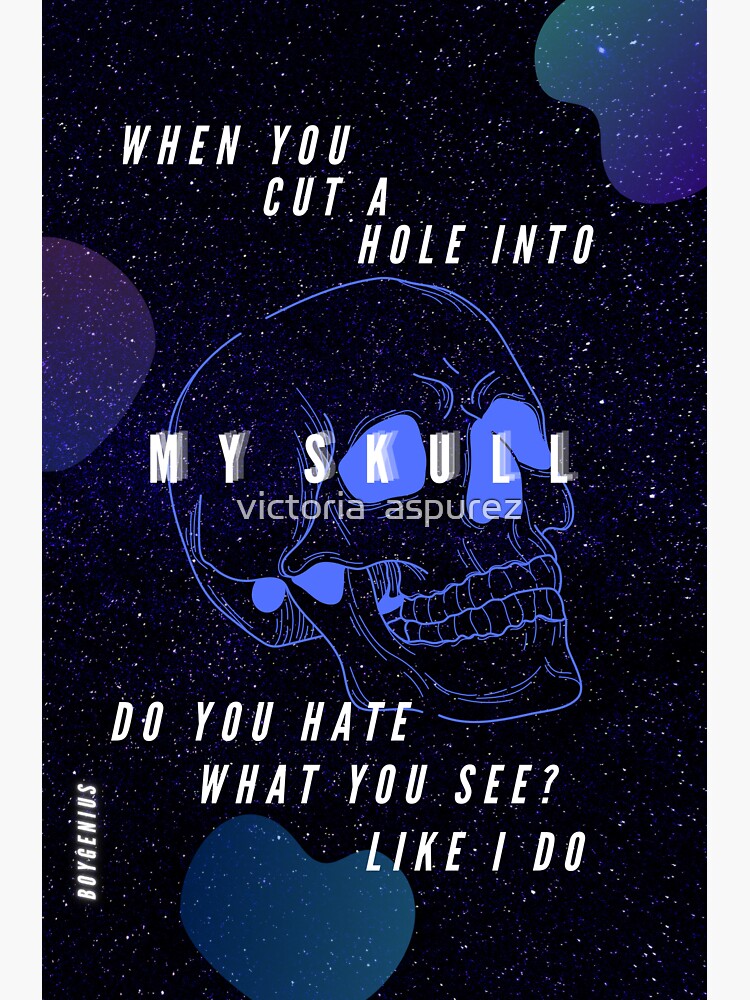 "SOUVENIR BOYGENIUS" Sticker for Sale by meliaspurez Redbubble