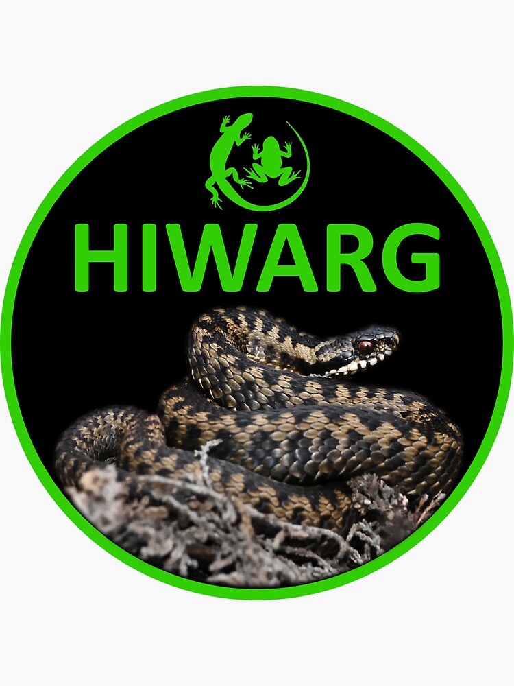 Thumbnail 3 of 3, Sticker, Adder Logo stationery designed and sold by HIWARG.