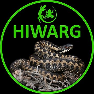 Artwork thumbnail, Adder Logo stationery by HIWARG