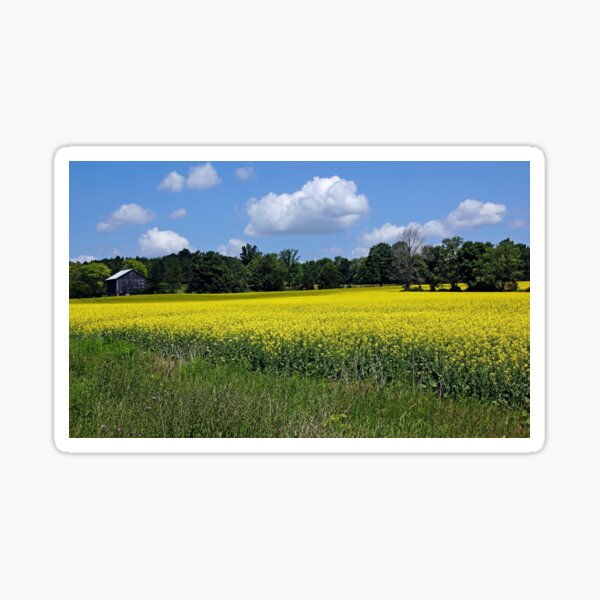 Item preview, Field of Gold designed and sold by Debbie Oppermann.