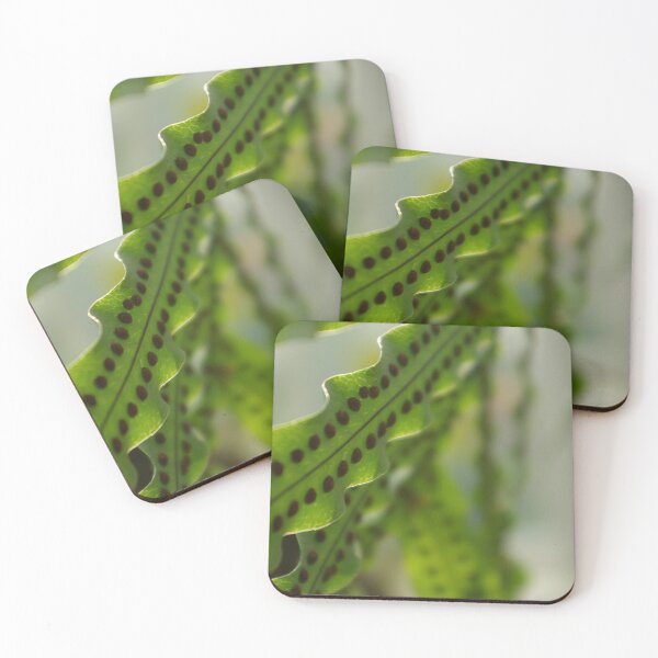 Item preview, Frilly Fern designed and sold by Jacki Temple.