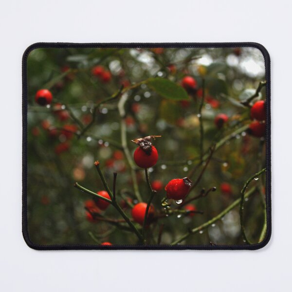 Item preview, Red Rosehip designed and sold by Asaha17.