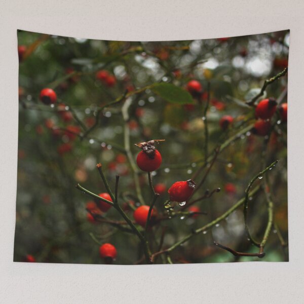 Item preview, Red Rosehip designed and sold by Asaha17.