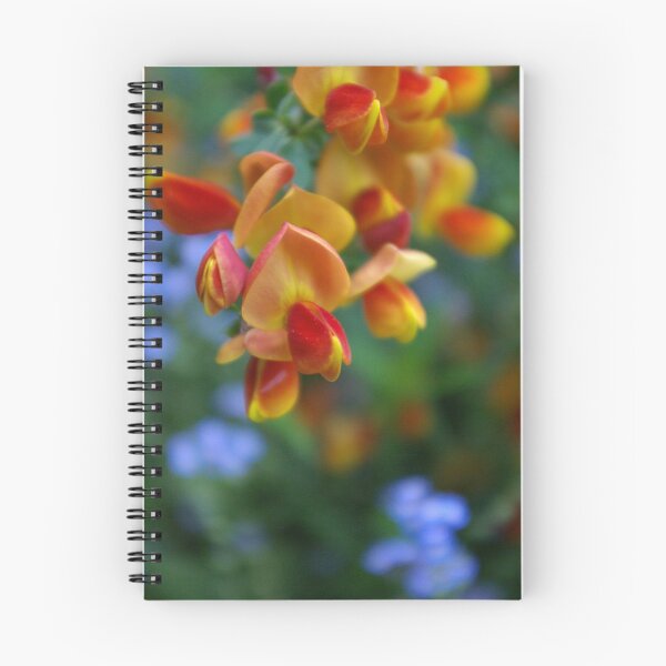 Aperçu de l'œuvre Broom Flower créée et vendue par Jacki Temple.