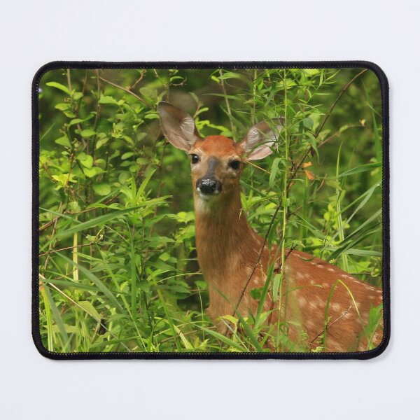 Item preview, Whitetail deer fawn designed and sold by Enola Gay Wagner.