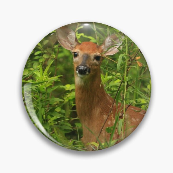 Item preview, Whitetail deer fawn  designed and sold by Enola Gay Wagner.