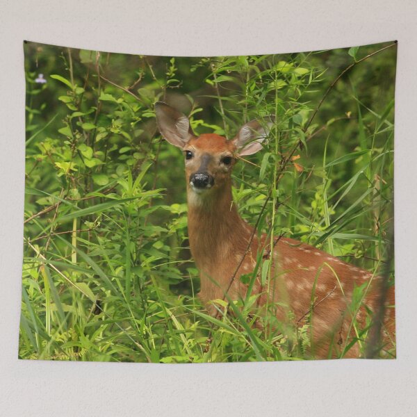 Item preview, Whitetail deer fawn  designed and sold by Enola Gay Wagner.