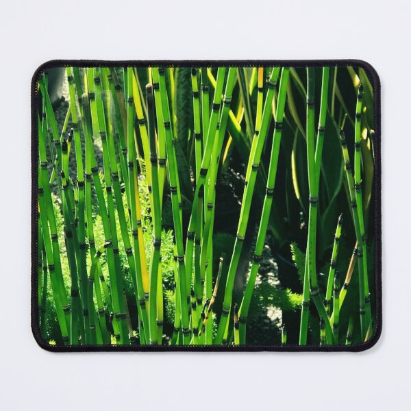 Item preview, Exotic Lush, Tall Green Reeds Luxurious Close-Up designed and sold by DEC02.