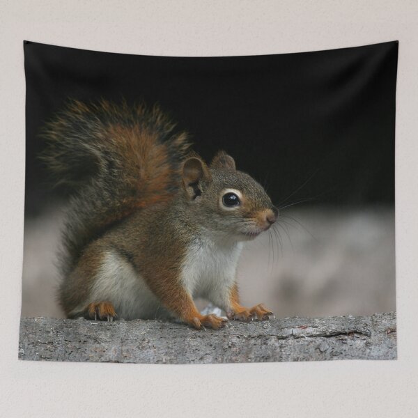Item preview, Red Squirrel designed and sold by Enola Gay Wagner.