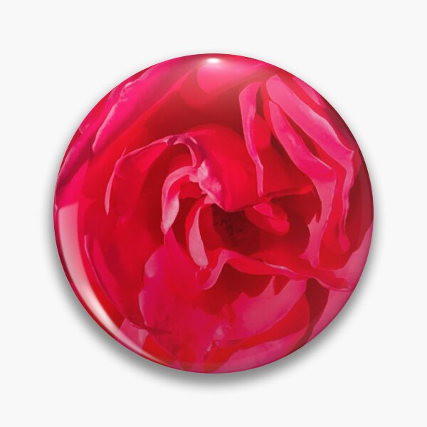 Artikelvorschau, Einzelne rote romantische Rose, beleuchtet von herrlichem Sonnenlicht entworfen und verkauft von DEC02.