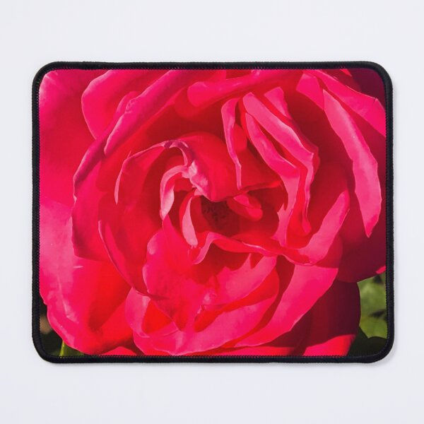 Item preview, Single Red Romantic Rose Illuminated By Glorious Sunlight   designed and sold by DEC02.