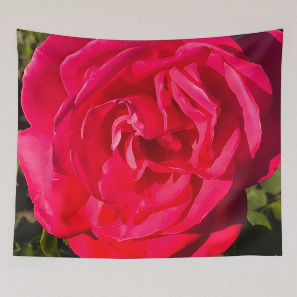 Item preview, Single Red Romantic Rose Illuminated By Glorious Sunlight   designed and sold by DEC02.