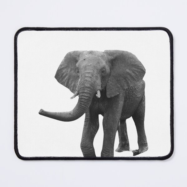Item preview, Elephant Sweatshirt designed and sold by ZANTRART.