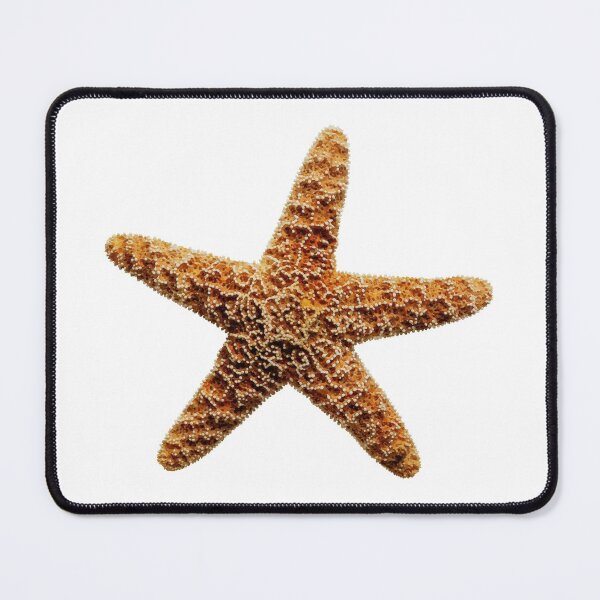 Item preview, Twinkle Here is your Star designed and sold by PocketFriendly.