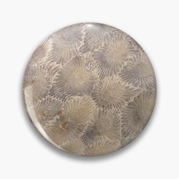Item preview, Petoskey Stone Hexagonaria designed and sold by Pr0teusUnbound.