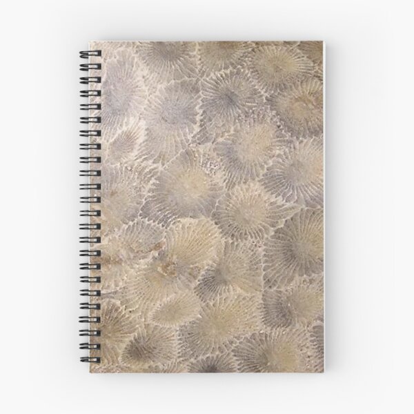 Item preview, Petoskey Stone Hexagonaria designed and sold by Pr0teusUnbound.