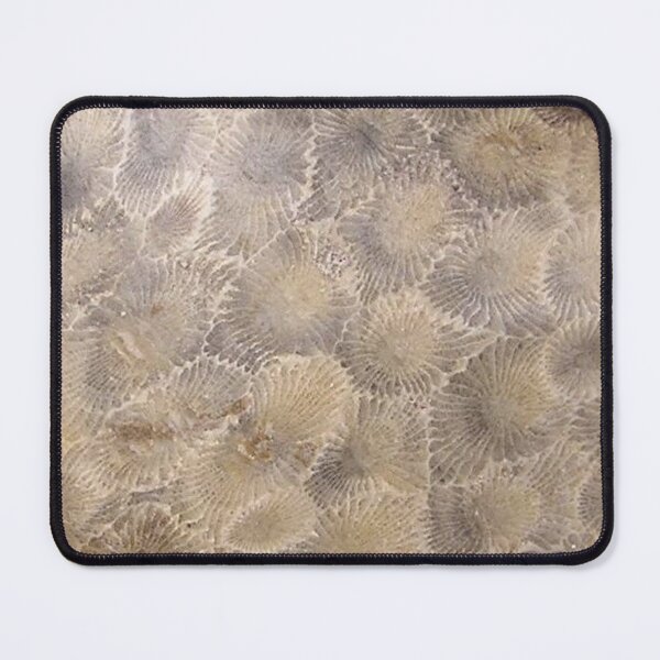 Item preview, Petoskey Stone Hexagonaria designed and sold by Pr0teusUnbound.