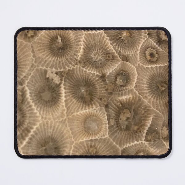 Item preview, Petoskey Stone Hexagonaria designed and sold by Pr0teusUnbound.