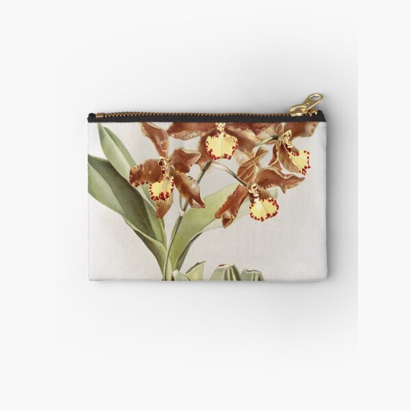 Item preview, Reichenbachia: Orchids Illustrated and Described designed and sold by EsotericBotanic.