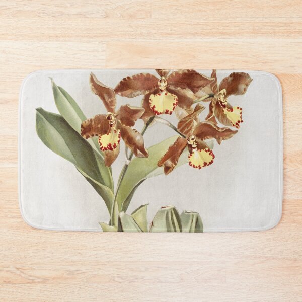 Item preview, Reichenbachia: Orchids Illustrated and Described designed and sold by EsotericBotanic.