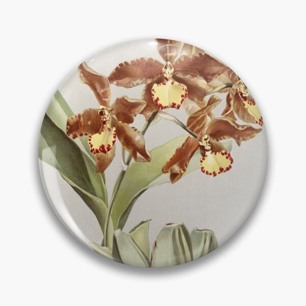 Item preview, Reichenbachia: Orchids Illustrated and Described designed and sold by EsotericBotanic.