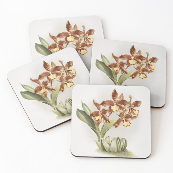 Item preview, Reichenbachia: Orchids Illustrated and Described designed and sold by EsotericBotanic.