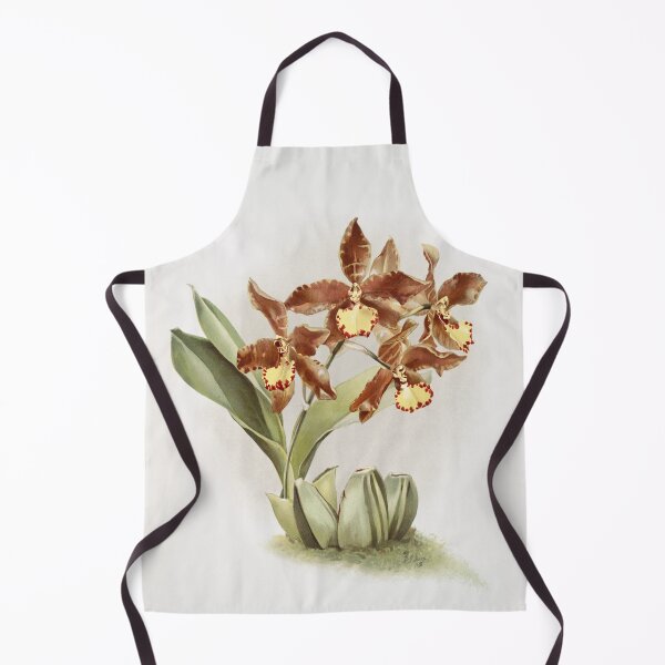 Item preview, Reichenbachia: Orchids Illustrated and Described designed and sold by EsotericBotanic.