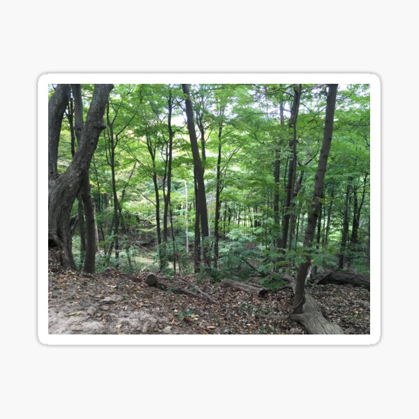Item preview, Forest View from the Top designed and sold by Cjmotts.