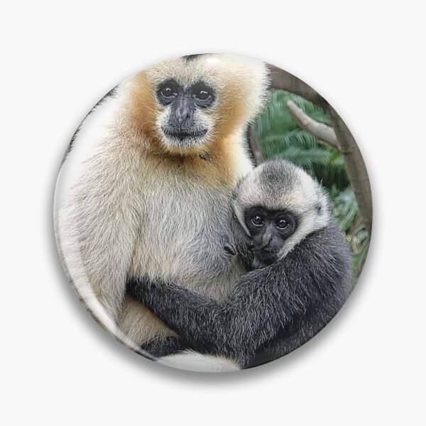 Item preview, white-cheeked gibbon and daughter designed and sold by rogersmith.