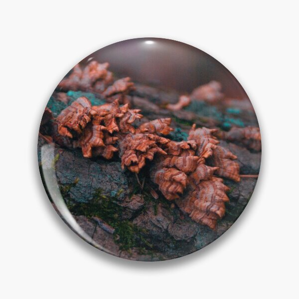 Item preview, Growth on a log designed and sold by SYIllustration.