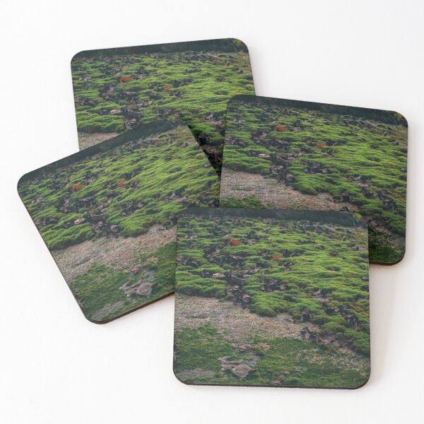 Item preview, Mossy designed and sold by SYIllustration.