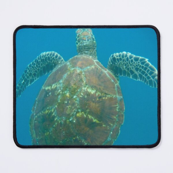 Item preview, Galapagos Turtle designed and sold by CncptulCaptures.