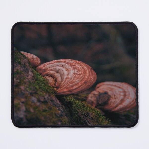 Item preview, Big Mushrooms designed and sold by SYIllustration.